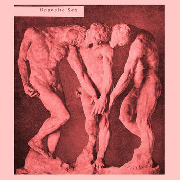 Opposite Sex cover art