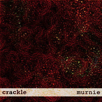 crackle cover art