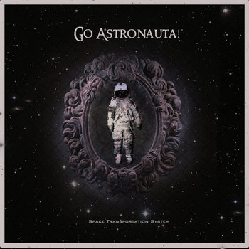 Space Transportation System cover art