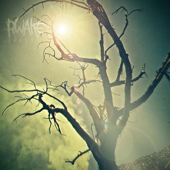 Rest cover art