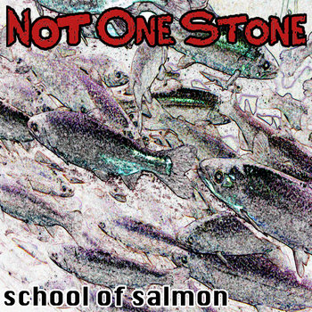 School of Salmon cover art