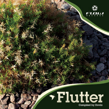 Flutter - V.A. (Flow Records) cover art