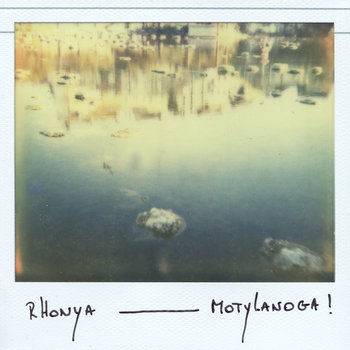 Motylanoga! cover art