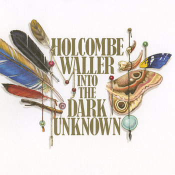Into the Dark Unknown cover art