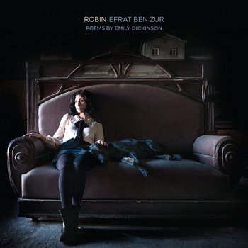 Robin cover art