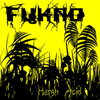 Harsh Acid cover art