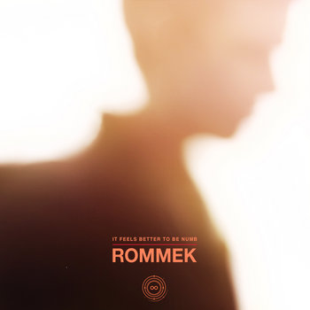 IM010 - Rommek - It Feels Better to Be Numb EP cover art
