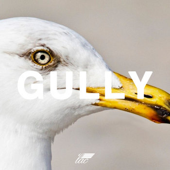 Gully cover art