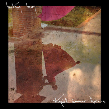 Stupid Summer Dreams cover art