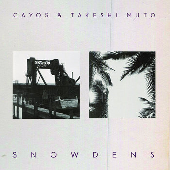 Snowdens cover art