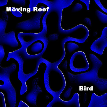 Bird cover art