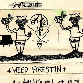 Weed Forestin' cover art