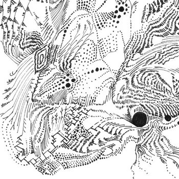 Fluctuate cover art