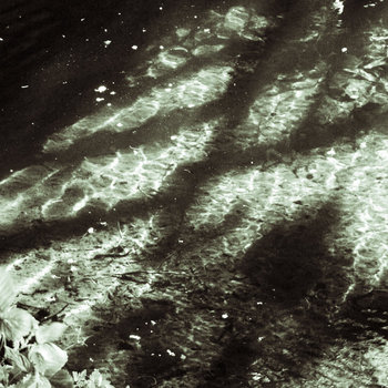 Observations cover art