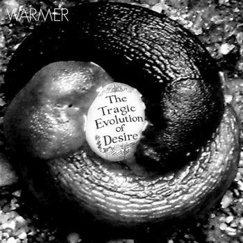 The Tragic Evolution of Desire cover art