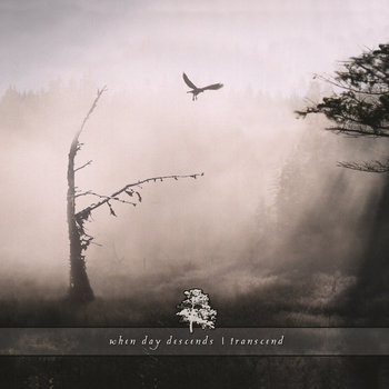 Transcend cover art