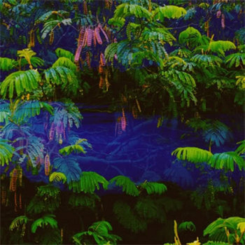 Chances Are Staying cover art