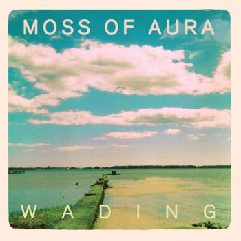 Wading cover art