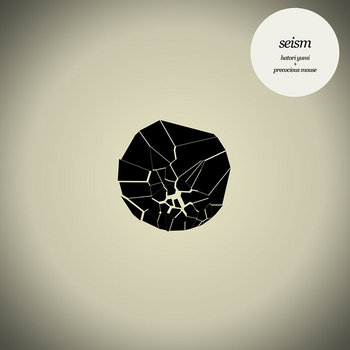 TC001 / Seism cover art