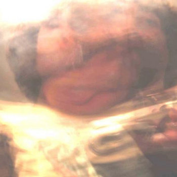 FLESHTONE STARGATE FOR NEW MIND BAZAAR (2012) cover art