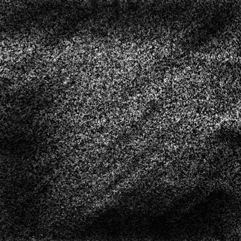 a vase of flowers sitting by the window unregarded and covered in dust but vibrant still, still full of light (volume 2) cover art