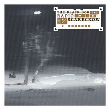 Radio Scarecrow cover art