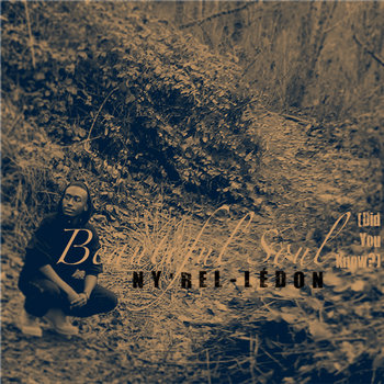 Beautiful Soul (Did You Know?) cover art