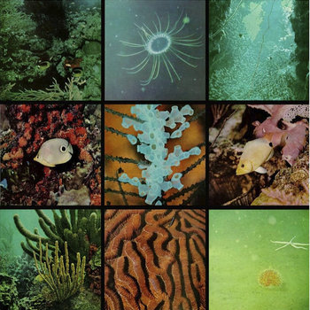 Ocean Floor cover art