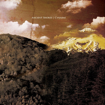 Ancient Shores / Cynarae cover art