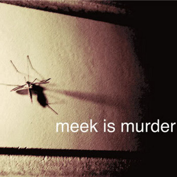 mosquito eater cover art