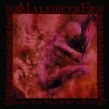 Leave Only What is Fit to Burn cover art