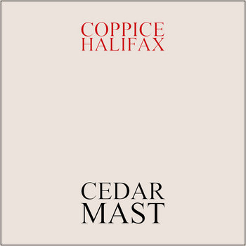 Cedar Mast cover art