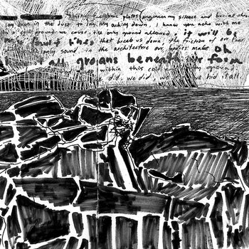 Dear Terius Nash b/w Cold Ground single cover art