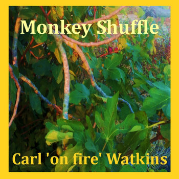 Monkey Shuffle cover art