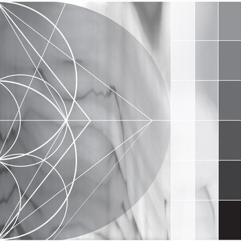 Assimilating the Shadow cover art