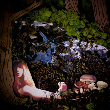 Chickens cover art