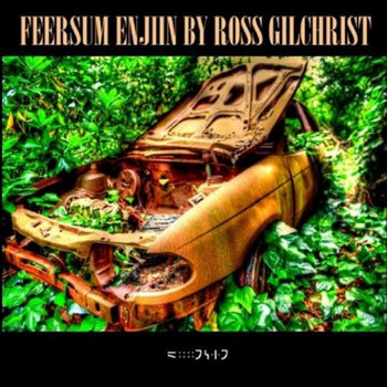 Feersum Enjiin cover art