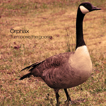 Turn Loose The Goose cover art