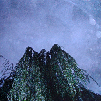 Un Arbol cover art