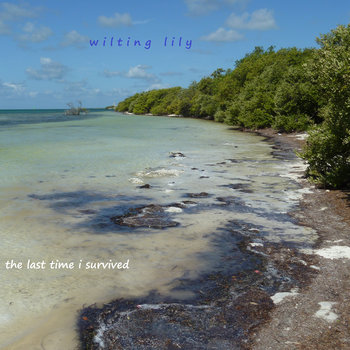 The Last Time I Survived (Album in Progress) cover art