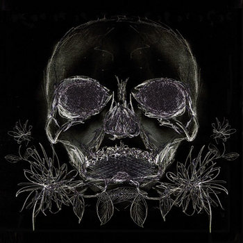 Belles Bêtes cover art