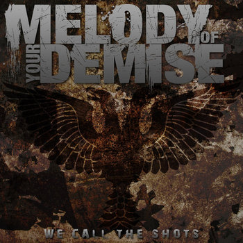 We Call The Shots cover art