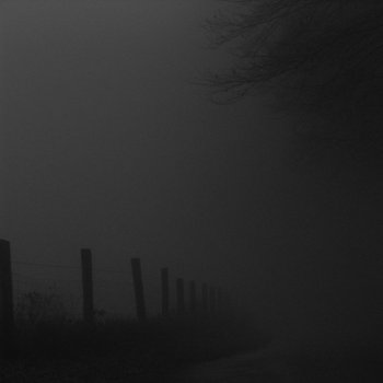 the mists cover art