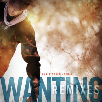 Wanting (Remixes) cover art