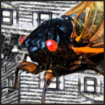 songs of the 17 year cicada cover art