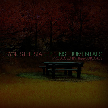 Synesthesia: The Instrumentals cover art