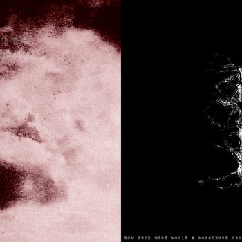 FATHER MURPHY / HOW MUCH WOOD WOULD A WOODCHUCK CHUCK IF A WOODCHUCK COULD CHUCK WOOD? - split 7'' cover art