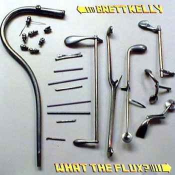 What The Flux? cover art