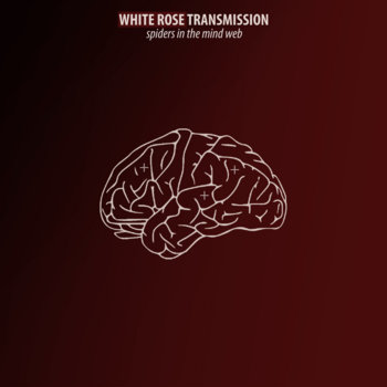 Spiders in the Mind Web cover art