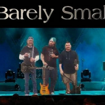 Barely Small IV cover art